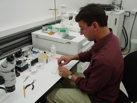 Laboratoire d'analyse, Getty Conservation Institute aboratoire, analyse chimique, Getty conservation institute