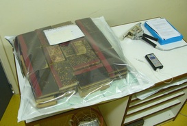 Anoxie, Archives départementales de la Martinique Anoxie, insectes, registres d'archives